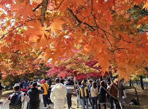 국내 대표 관광명소 입증강원도 한국관광 100선 전국 최다 선정 파이낸셜뉴스