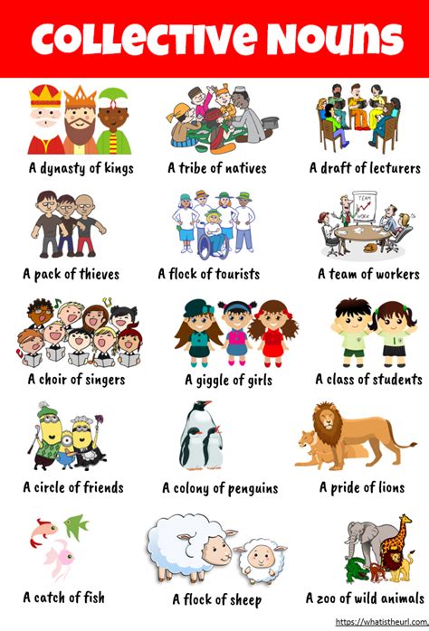 Collective Nouns For Students