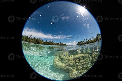 Page 2 | Subtropical Climate Stock Photos, Images and Backgrounds for ...