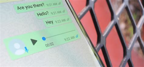How to Tell if Someone Has Read Your WhatsApp Message—Even if They Have