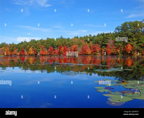 Fall Colors Reflection On Lake Stock Photo Alamy