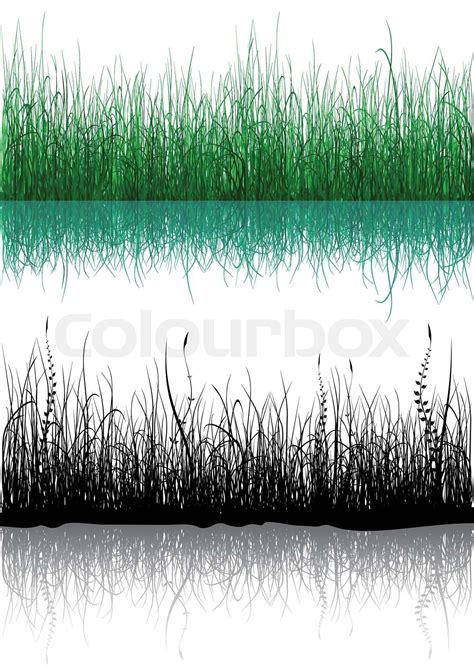 Gras - isoliert auf weiss | Stock-Vektor | Colourbox
