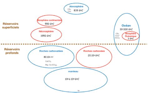 Chap Bga Les Grands Cycle Biog Ochimiques Cartes Quizlet