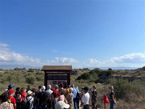 XI Edizione Della Settimana Del Pianeta Terra Nella Spiaggia Fossile