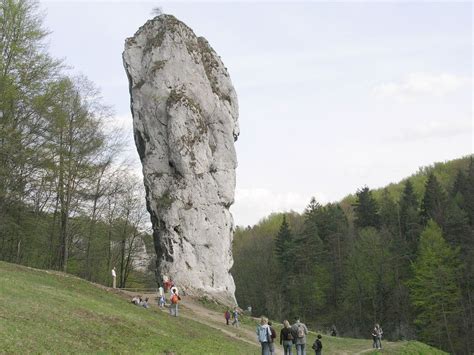 Палица Геркулеса Википедия