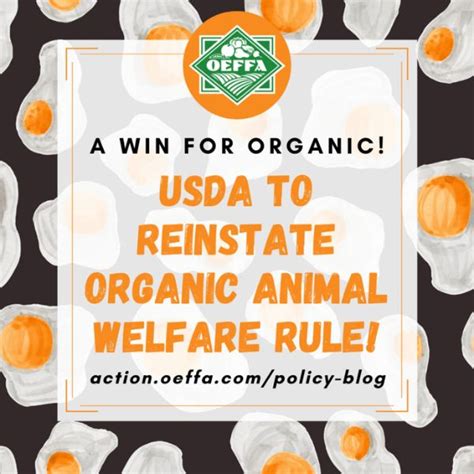 Organic Animal Welfare Rule To Move Forward Oeffa Policy