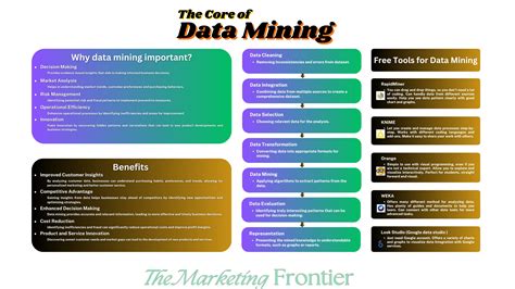 From Data Overload to Actionable Insights: Simplify Your Data Mining