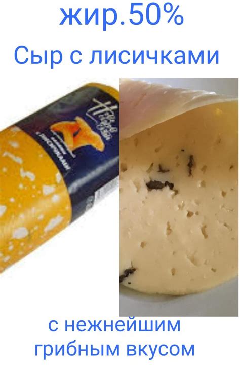 сыр с лисичками