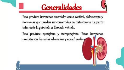 Hormonas Y Glandulas Pptx