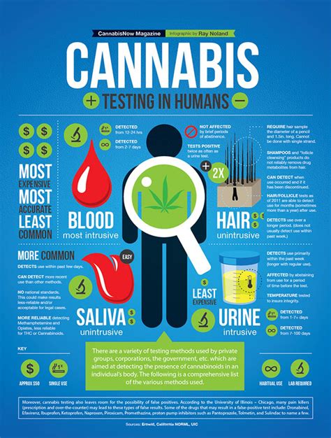 What Jobs Don T Require A Drug Test : We did not find results for