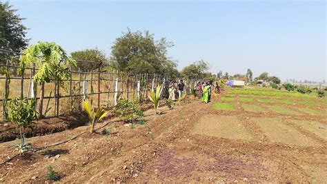 Orgasatva Farms Agri Tourism Center India