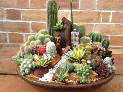caring tips   dish garden succulents diy succulents dish garden