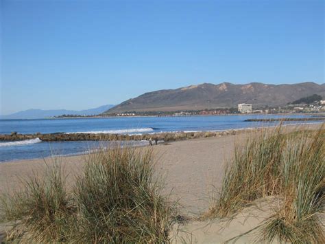 Nudism Sex As In Does Nude Sex Flacunnofu