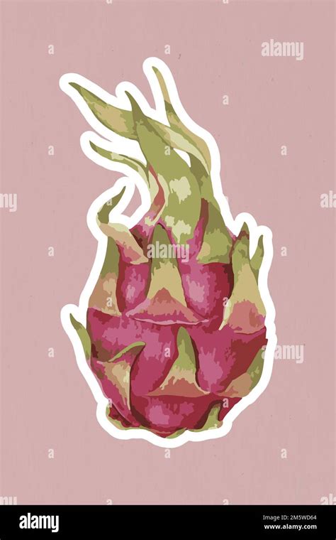 Vectorized Dragon Fruit Sticker With A White Border Stock Vector Image And Art Alamy