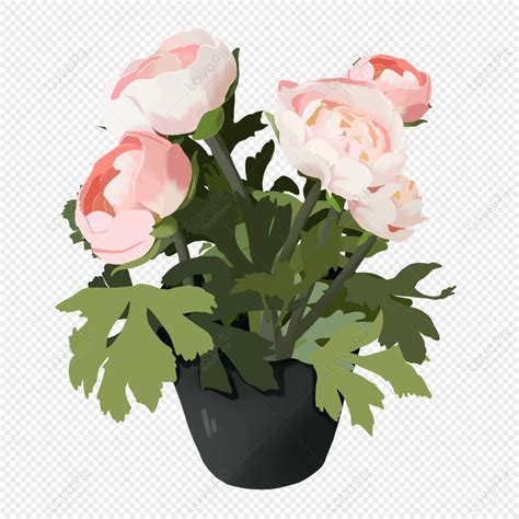 Hand Painted Pink Rose Flower Potted Elements Pink Elements Material