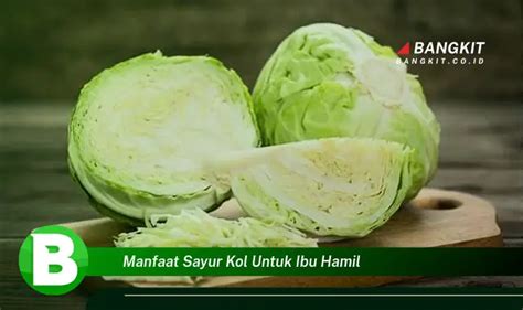 Intip Manfaat Sayur Kol Untuk Ibu Hamil Yang Wajib Kamu Tahu