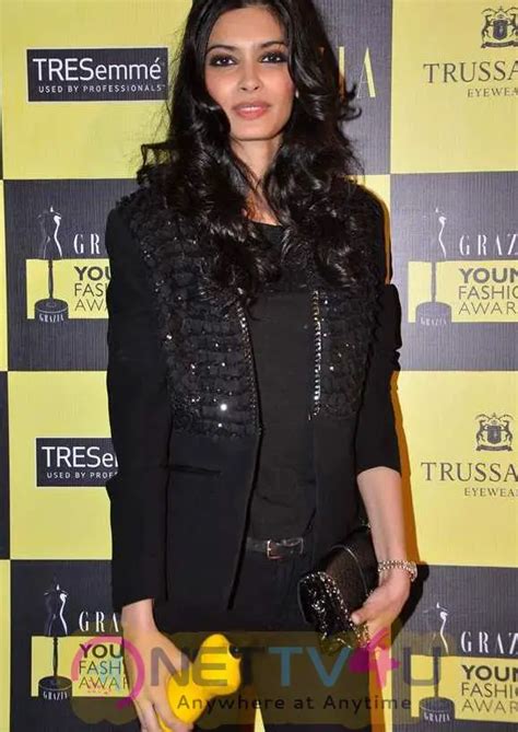 Diana Penty Hot And Sexy Hd Images 194356 Galleries HD Images