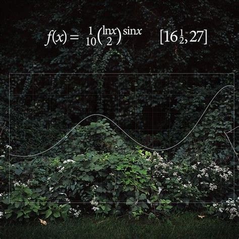 Math in nature | The beauty of mathematics | Pinterest | Math, Free ...
