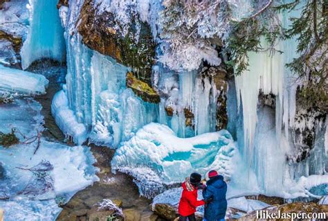 Winter in Jasper National Park