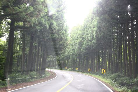 4 Girls' Self-Drive Jeju Road Trip Experience (Itinerary Included ...