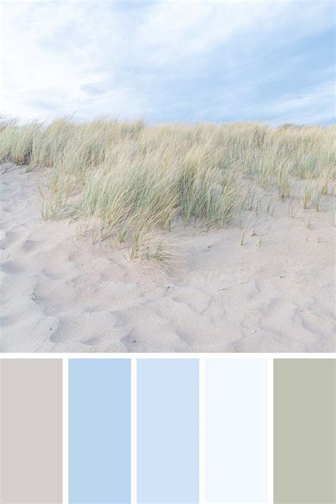 Nature Inspired Color Palettes Artofit