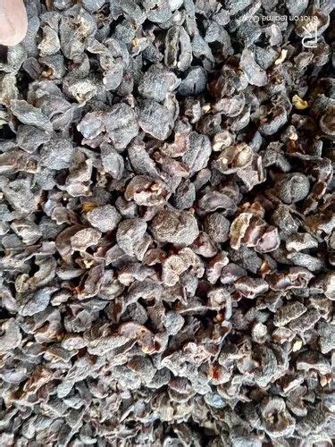 Type Seedless Dried Amla Fruit Packaging Size Kg At Rs Kg In