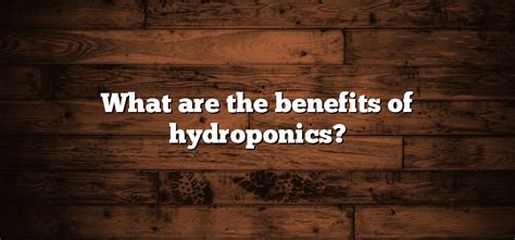 What are the benefits of hydroponics? - Inter Culturalu