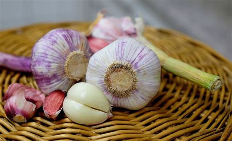 Consejos Para Cocinar Con Cebollas Y Ajos De La Mejor Manera Y