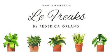 yellow italian fashion bloggers  event le freaks