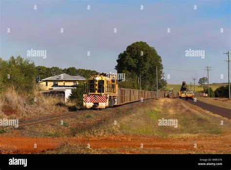 Empty Sugar Cane Train delivers bins ready for the freshly cut cane and ...