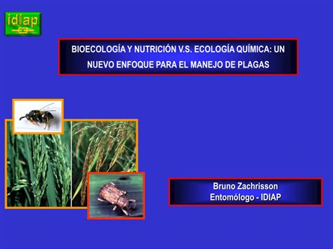 Pdf Bioecolog A Y Nutrici N Vs Ecolog A Qu Mica Un Nuevo Enfoque