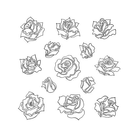 drawing flower rose 5