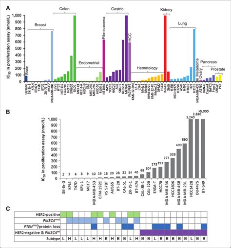 Antiproliferative Ic Values Of Bay In Cancer Cell Lines From