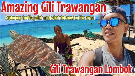 Turtle Point At Gili Trawangan Lombok Exploring And What To Know In