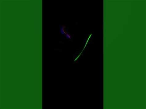 светящиеся палки - YouTube