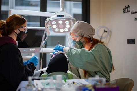 Unlocking Your Dental Practice's Online Potential with SEO 1