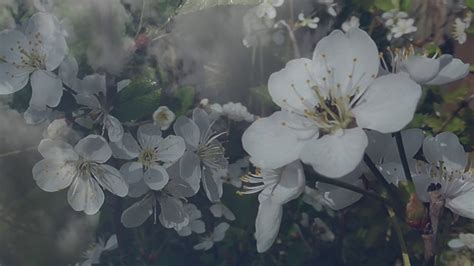 Последний день весны - YouTube