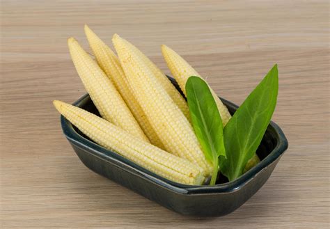 Baby Corn Dish 12731194 Stock Photo At Vecteezy