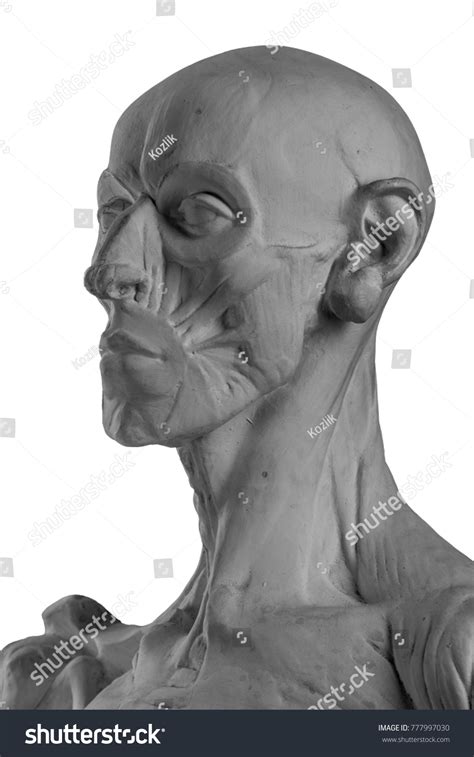Plaster Statue Naked Man Anatomically Shaped Stock Photo