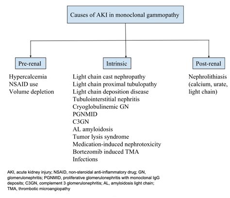 Skeleton Key Group Case Cancerous Lytes Renal Fellow Network