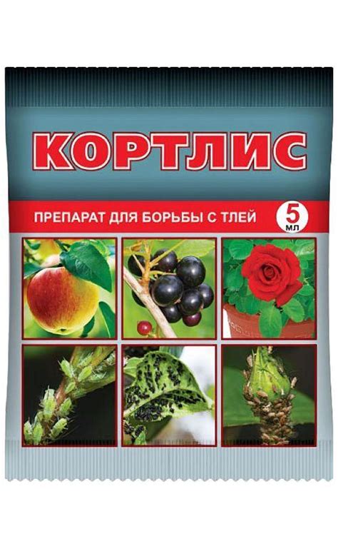 Золотая сотка алтая