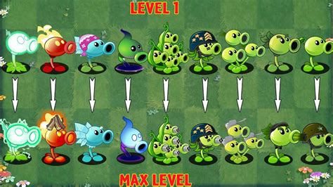 Pvz Gameplay All Peashooter Level Vs Max Level Plant Vs Plant