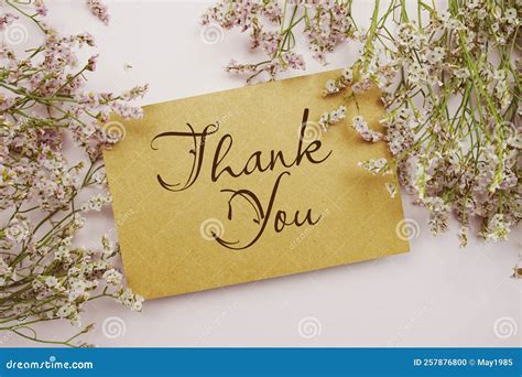 Thank You Written On Paper Card With Flower Frame Decoraton On Pink