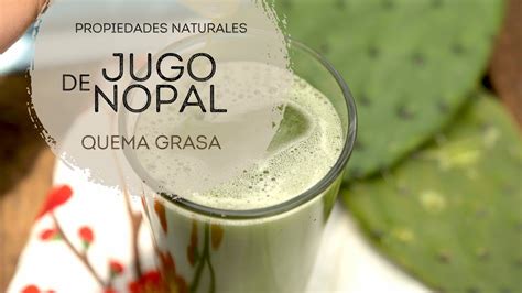 Cómo usar el jugo de nopal para quemar grasa YouTube