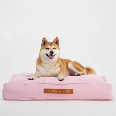 orthopedic dog bed buying guide  orthopedic dog beds