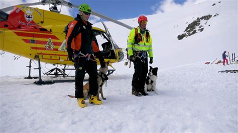 Il Soccorso Alpino Certifica Le Unit Cinofile Le Rubriche Teleboario