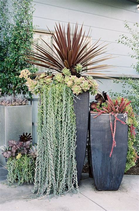 Tall Succulent Planter Ideas — Freshouz Home And Architecture Decor Succulent Landscaping