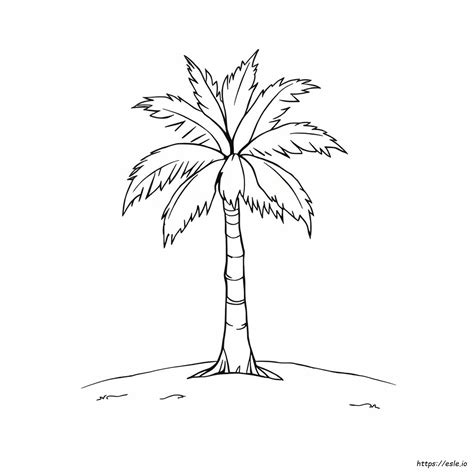 Florida State Tree Coloring Page