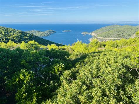 Poljoprivredno zemljište sa rusevnom kucom Podselje 42700 m2