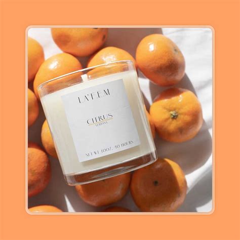 Best Eco Friendly Sex Intimacy Products